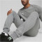 PUMA teamGOAL Casuals Jogginghose Herren 33 - medium gray heather/puma white L