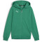 PUMA teamGOAL Casuals Kapuzenjacke Jungen 05 - sport green/puma white 116