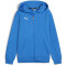 PUMA teamGOAL Casuals Kapuzenjacke Jungen 02 - ignite blue/puma white 116