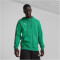 PUMA teamGOAL Casuals Kapuzenjacke Herren 05 - sport green/puma white M