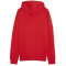 PUMA teamGOAL Casuals Kapuzenjacke Herren 01 - PUMA red/PUMA white 3XL