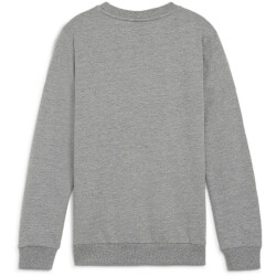 PUMA teamGOAL Casuals Crew Neck Sweatshirt Jungen 33 -...