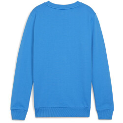 PUMA teamGOAL Casuals Crew Neck Sweatshirt Jungen 02 -...
