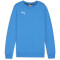 PUMA teamGOAL Casuals Crew Neck Sweatshirt Jungen 02 - ignite blue/puma white 116