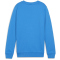 PUMA teamGOAL Casuals Crew Neck Sweatshirt Jungen 02 - ignite blue/puma white 116