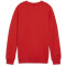 PUMA teamGOAL Casuals Crew Neck Sweatshirt Jungen 01 - PUMA red/PUMA white 116