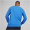 PUMA teamGOAL Casuals Crew Neck Sweatshirt Herren 02 - ignite blue/puma white M