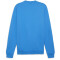 PUMA teamGOAL Casuals Crew Neck Sweatshirt Herren 02 - ignite blue/puma white M