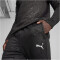 PUMA teamFINAL Warm Trainingshose Herren 03 - PUMA black/PUMA silver S