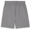 PUMA teamFINAL Trainingsshorts Herren 13 - cast iron/puma silver S