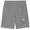 PUMA teamFINAL Trainingsshorts Herren 13 - cast iron/puma silver M