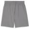 PUMA teamFINAL Trainingsshorts Herren 13 - cast iron/puma silver M