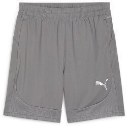 PUMA teamFINAL Trainingsshorts Herren 13 - cast iron/puma...