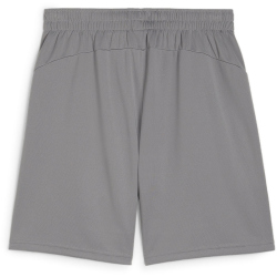 PUMA teamFINAL Trainingsshorts Herren 13 - cast iron/puma...