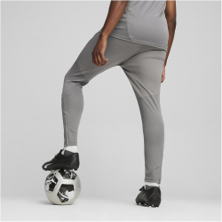 PUMA teamFINAL Trainingshose Herren 13 - cast iron/puma silver S