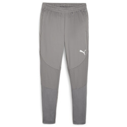 PUMA teamFINAL Trainingshose Herren 13 - cast iron/puma...