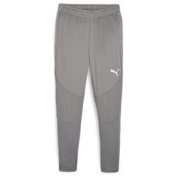 PUMA teamFINAL Trainingshose Herren 13 - cast iron/puma...