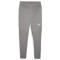 PUMA teamFINAL Trainingshose Herren 13 - cast iron/puma silver L