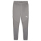 PUMA teamFINAL Trainingshose Herren 13 - cast iron/puma silver 3XL