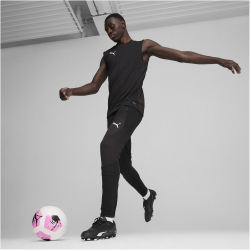 PUMA teamFINAL Trainingshose Herren 03 - PUMA black/PUMA silver 3XL