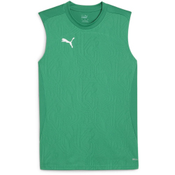 PUMA teamFINAL &auml;rmelloses Trainingsshirt Herren 05 -...