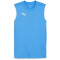PUMA teamFINAL ärmelloses Trainingsshirt Herren 02 - ignite blue/puma silver L