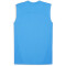 PUMA teamFINAL ärmelloses Trainingsshirt Herren 02 - ignite blue/puma silver L