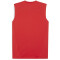 PUMA teamFINAL ärmelloses Trainingsshirt Herren 01 - PUMA red/PUMA silver 3XL