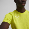 PUMA teamFINAL Trainingsshirt Herren 30 - electric lime/puma silver S