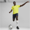 PUMA teamFINAL Trainingsshirt Herren 30 - electric lime/puma silver S