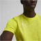 PUMA teamFINAL Trainingsshirt Herren 30 - electric lime/puma silver M