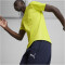 PUMA teamFINAL Trainingsshirt Herren 30 - electric lime/puma silver M