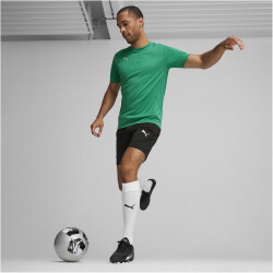 PUMA teamFINAL Trainingsshirt Herren 05 - sport green/puma silver S