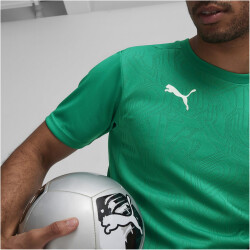 PUMA teamFINAL Trainingsshirt Herren 05 - sport green/puma silver XL