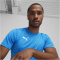 PUMA teamFINAL Trainingsshirt Herren 02 - ignite blue/puma silver S
