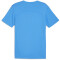 PUMA teamFINAL Trainingsshirt Herren 02 - ignite blue/puma silver M