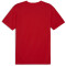 PUMA teamFINAL Trainingsshirt Herren 01 - PUMA red/PUMA silver M