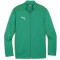 PUMA teamFINAL Trainingsjacke Kinder 05 - sport green/puma silver 116