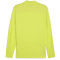 PUMA teamFINAL Trainingsjacke Herren 30 - electric lime/puma silver M