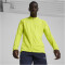 PUMA teamFINAL Trainingsjacke Herren 30 - electric lime/puma silver XL