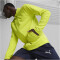 PUMA teamFINAL Trainingsjacke Herren 30 - electric lime/puma silver XL