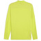 PUMA teamFINAL Trainingsjacke Herren 30 - electric lime/puma silver XL