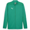 PUMA teamFINAL Trainingsjacke Herren 05 - sport green/puma silver S