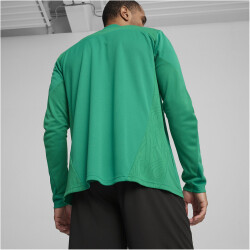 PUMA teamFINAL Trainingsjacke Herren 05 - sport green/puma silver L