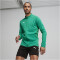 PUMA teamFINAL Trainingsjacke Herren 05 - sport green/puma silver L