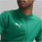PUMA teamFINAL Trainingsjacke Herren 05 - sport green/puma silver L