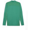 PUMA teamFINAL Trainingsjacke Herren 05 - sport green/puma silver L