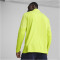 PUMA teamFINAL 1/4-Zip Trainings-Top Herren 30 - electric lime/puma silver S