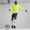 PUMA teamFINAL 1/4-Zip Trainings-Top Herren 30 - electric lime/puma silver S