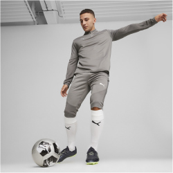 PUMA teamFINAL 1/4-Zip Trainings-Top Herren 13 - cast iron/puma silver S